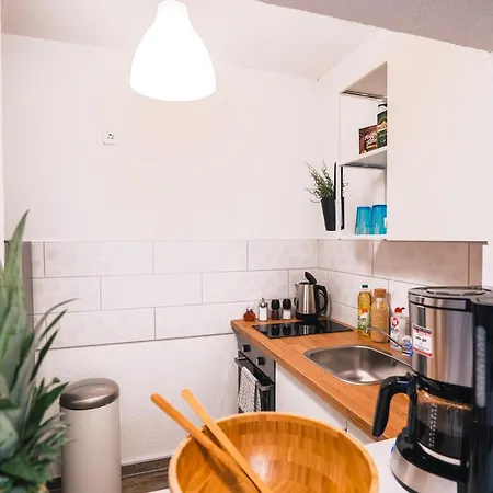 Apartment Maria - Zentrum Neu Renoviert Gera