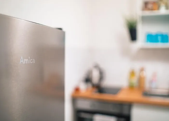 Maria - Zentrum Neu Renoviert Apartment Gera