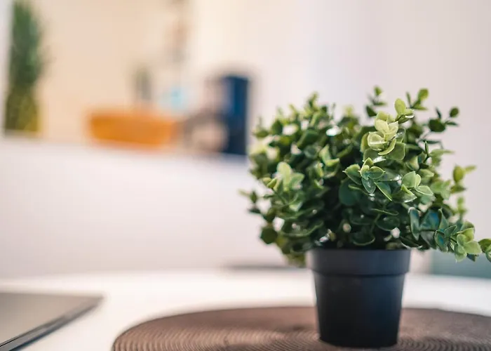 Apartment Maria - Zentrum Neu Renoviert *